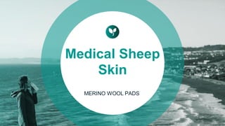 Medical Sheep
Skin
MERINO WOOL PADS
 
