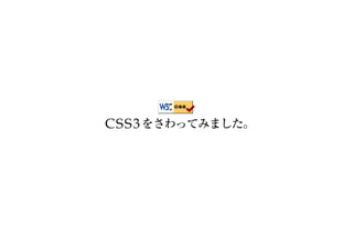 C S S3
 