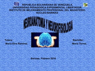 REPUBLICA BOLIVARIANA DE VENEZUELA.
UNIVERSIDAD PEDAGOGICA EXPERIMENTAL LIBERTADOR.
INSTITUTO DE MEJORAMIENTO PROFESIONAL DEL MAGISTERIO.
NUCLEO-BARINAS
Tutora: Bachiller:
Maria Elva Ramirez. Maria Torres.
Barinas, Febrero 2016
 