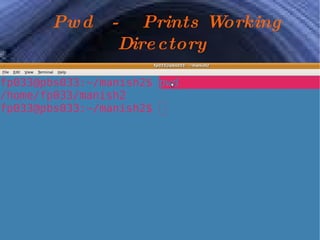 Pwd  -  Prints Working Directory 