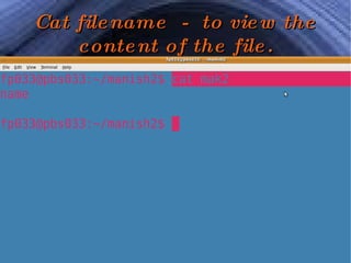 Cat filename  -  to view the content of the file. 
