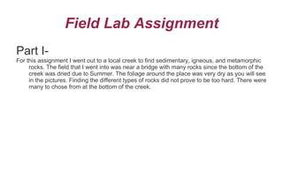 Field Lab Assignment ,[object Object]