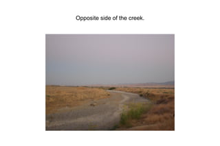 This is the creek where I found the different type of rocks. Notice the bed of the creek filled with all of the dirrent types as well as the very dry foliage around.  