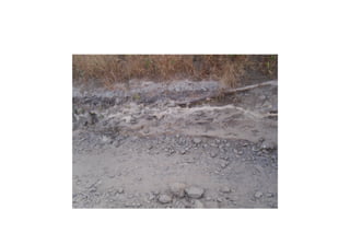 This is a type of weathering process that I found near the creek that I collected my rock samples from. This is a type of physical weathering caused by exfoliation. There is expansion of the rock due to uplift and erosion.  