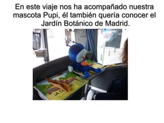 En este viaje nos ha acompañado nuestra
mascota Pupi, él también quería conocer el
       Jardín Botánico de Madrid.
 