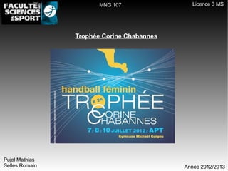 MNG 107                Licence 3 MS




                Trophée Corine Chabannes




Pujol Mathias
Selles Romain                              Année 2012/2013
 