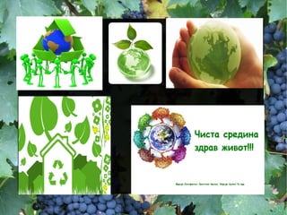Екологија | PPT