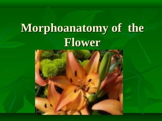 Morphoanatomy of the
Flower

 