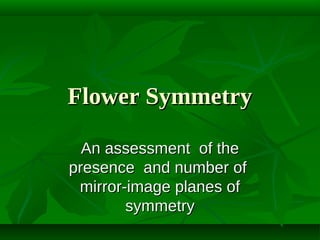 Flower Symmetry
An assessment of the
presence and number of
mirror-image planes of
symmetry

 