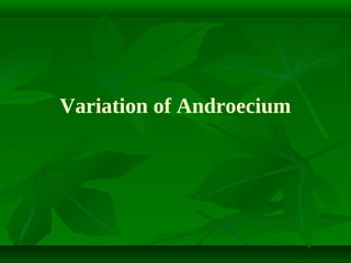 Variation of Androecium

 