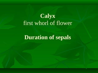 Calyx
first whorl of flower
Duration of sepals

 
