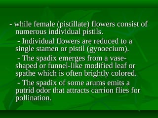 - while female (pistillate) flowers consist of
numerous individual pistils.
- Individual flowers are reduced to a
single stamen or pistil (gynoecium).
- The spadix emerges from a vaseshaped or funnel-like modified leaf or
spathe which is often brightly colored.
- The spadix of some arums emits a
putrid odor that attracts carrion flies for
pollination.

 