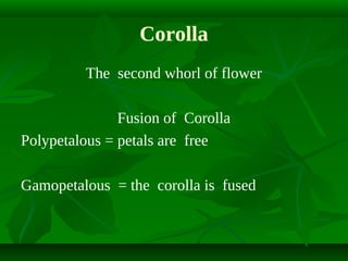 Corolla of Flower: Meaning, Variations, and Functions of Corolla
