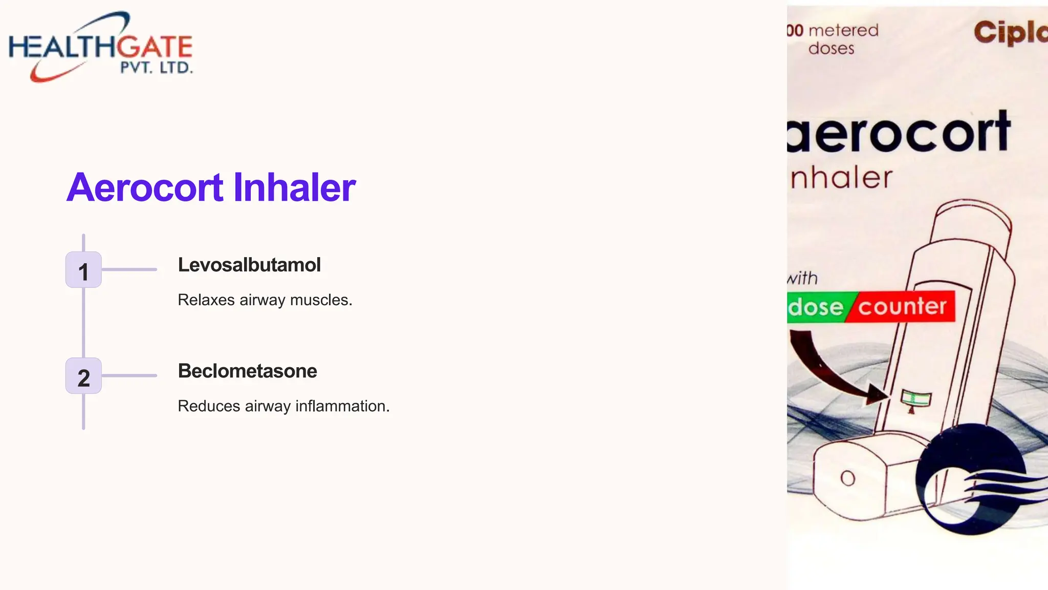 The Top 10 Metered Dose Inhalers In India | PPTX