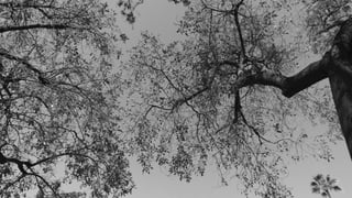 Photography Work "Untitled 1"