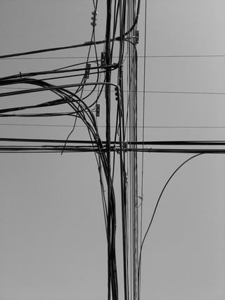 Photography Work "Untitled 1"