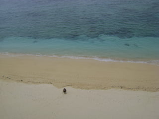 Photography Work "Untitled 1"