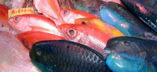 Photography Work "Untitled 1"