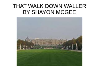 THAT WALK DOWN WALLER BY SHAYON MCGEE 