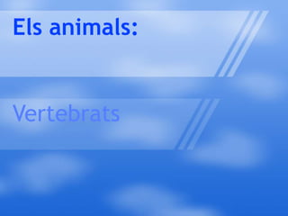Els animals:


Vertebrats
 