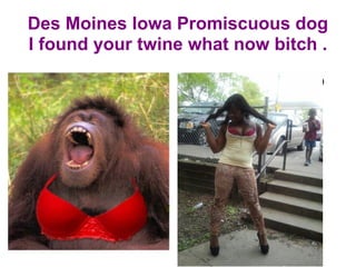 Des Moines Iowa Promiscuous dog
I found your twine what now bitch .
                 
                     GIRL, YOU GOT TO
                     LOOK IN THE
                     MIRROE
 