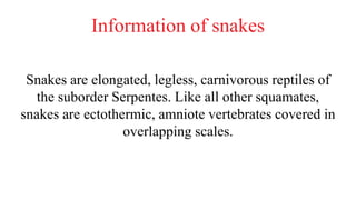 Information of snakes
Snakes are elongated, legless, carnivorous reptiles of
the suborder Serpentes. Like all other squamates,
snakes are ectothermic, amniote vertebrates covered in
overlapping scales.
 