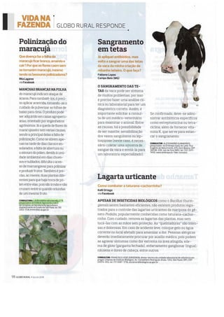 Globo rural - revista