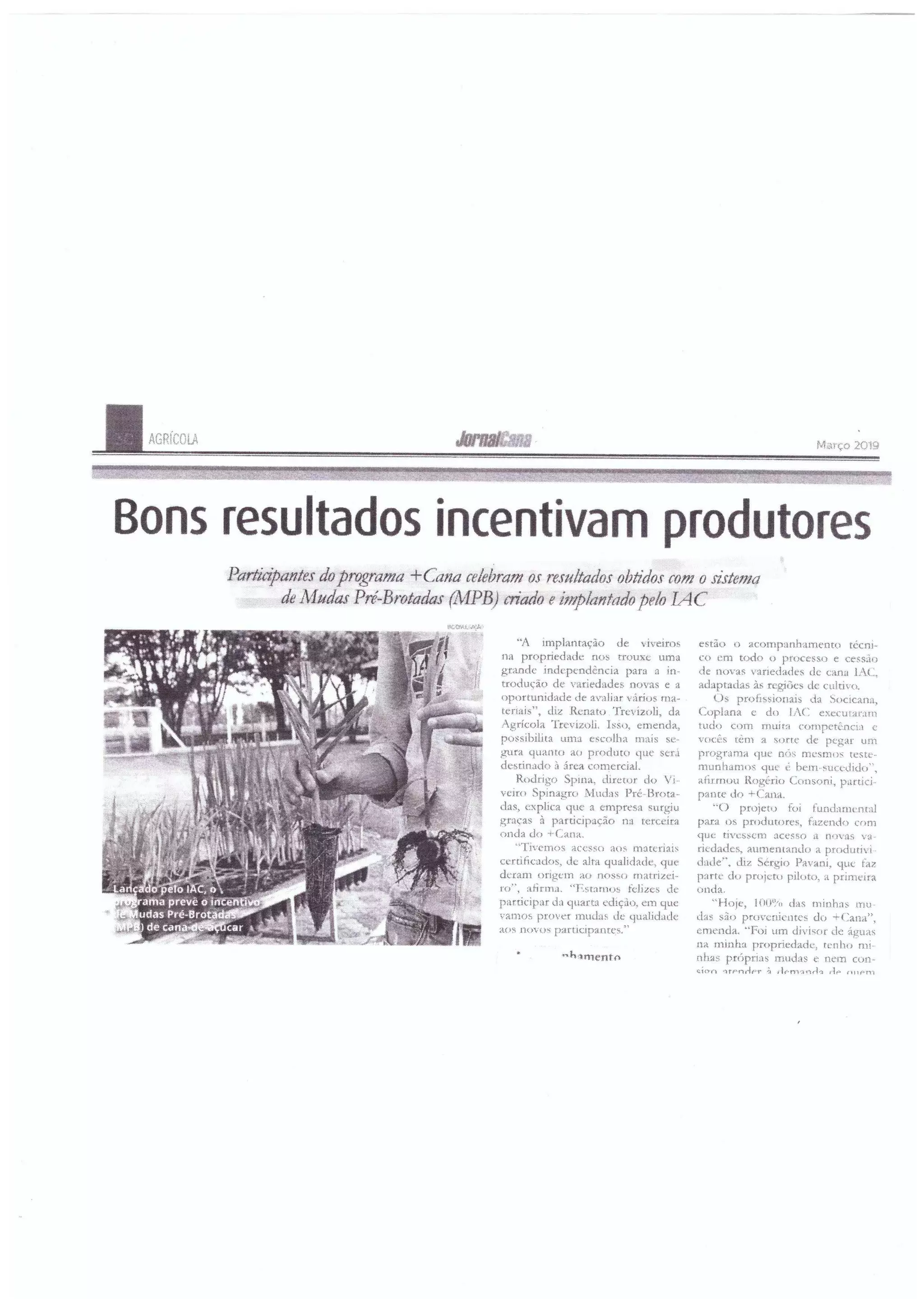 Bons resultados incentivam produtores