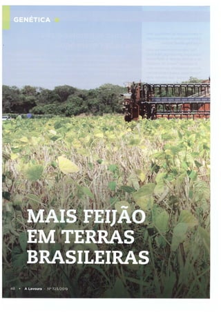Genética: Mais feijão em terras brasileiras