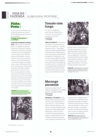 Globo Rural Responde: Pinha 