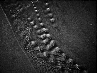 The Sixth Extinction (2014)