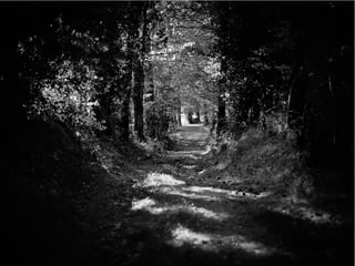 The Sixth Extinction (2014)