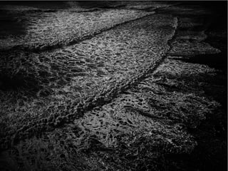 The Sixth Extinction (2014)