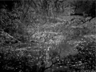 The Sixth Extinction (2014)