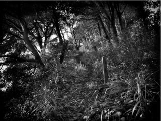 The Sixth Extinction (2014)