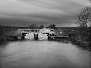 The Sixth Extinction (2014)