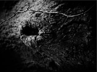 The Sixth Extinction (2014)