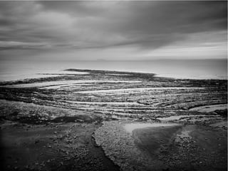 The Sixth Extinction (2014)