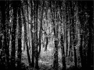 The Sixth Extinction (2014)