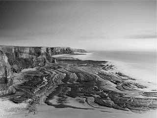 The Sixth Extinction (2014)