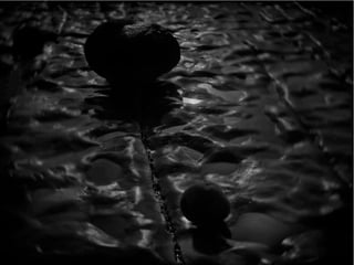 The Sixth Extinction (2014)