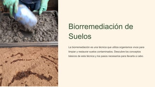 Biorremediación de
Suelos
La biorremediación es una técnica que utiliza organismos vivos para
limpiar y restaurar suelos contaminados. Descubre los conceptos
básicos de esta técnica y los pasos necesarios para llevarla a cabo.
 