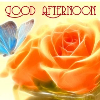 Beautiful Good Afternoon Flowers Images Download | Good Afternoon Rose Flower Images