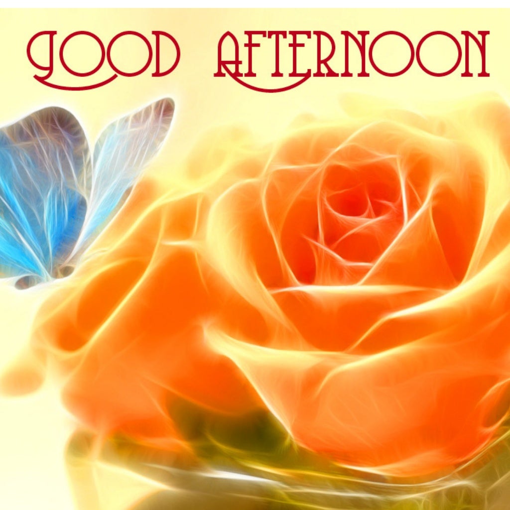 Beautiful Good Afternoon Flowers Images Download | Good Afternoon Rose ...