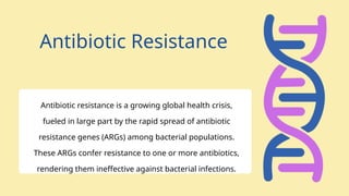 Antibiotic resistance gene and Horizontal gene transfer | PPTX