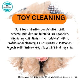 Toy Cleaning