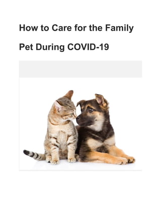 How to Care for the Family
Pet During COVID-19
 