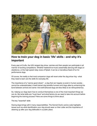 How to train your dog in basic 'life' skills - and why it's
important
Every year at Crufts, the UK's largest dog show, canines and their people can participate in all
manner of exciting competitions. Whether heelwork-to-music (essentially dancing with dogs) or
obedience, or the high-speed relay races of flyball, it can be a marvellous feast of fun for
performance dogs.
Of course, the reality is that most companion dogs will never enter the dog show ring - what
they need to learn are the skills for everyday life.
The importance of a "canine good citizen" - a dog that can happily co-exist in human society -
cannot be underestimated. A well trained dog benefits humans and dogs alike by enhancing the
bond between animal and owner. And well behaved dogs are less likely to be relinquished too.
So, helping our dogs learn how to conduct themselves is one of the most important things we
can do. But what skills are "must have" and what factors do we need to take into account before
beginning the training process? Here are some things to think about.
The key "essential" skills
Having dogs brings with it many responsibilities. The Kennel Club's canine code highlights
issues such as what identification your dog should wear on their collar and the importance of
cleaning up after your dog defecates in a public place.
 