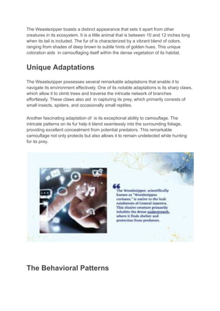 Untitled document.pdf