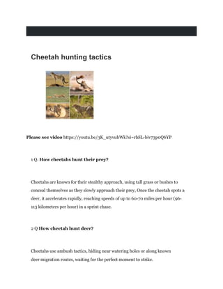 Cheetah hunting tactics
Please see video https://youtu.be/3K_utyvubWk?si=rbSL-biv73p0Q6YP
1 Q. How cheetahs hunt their prey?
Cheetahs are known for their stealthy approach, using tall grass or bushes to
conceal themselves as they slowly approach their prey, Once the cheetah spots a
deer, it accelerates rapidly, reaching speeds of up to 60-70 miles per hour (96-
113 kilometers per hour) in a sprint chase.
2 Q How cheetah hunt deer?
Cheetahs use ambush tactics, hiding near watering holes or along known
deer migration routes, waiting for the perfect moment to strike.
 